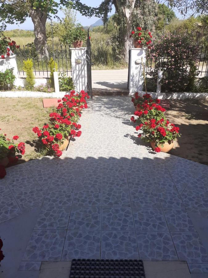 Issos Apartments Agios Georgios  Bagian luar foto