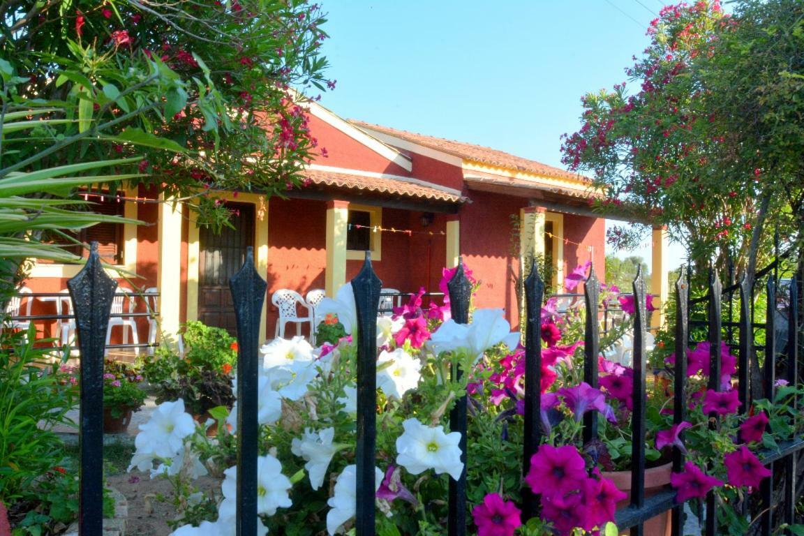 Issos Apartments Agios Georgios  Bagian luar foto