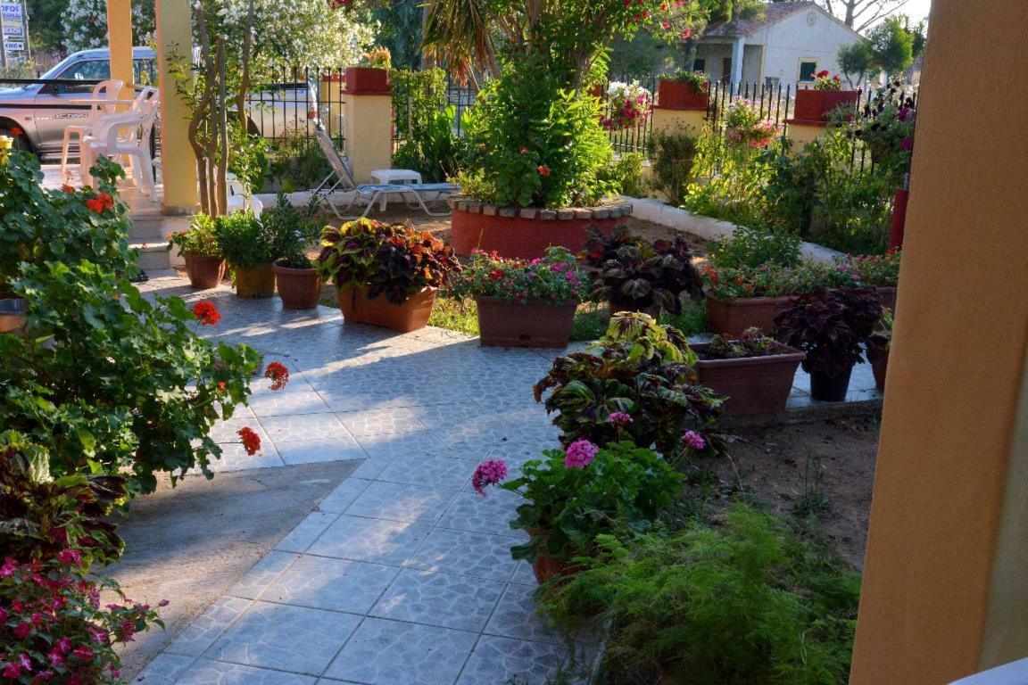 Issos Apartments Agios Georgios  Bagian luar foto